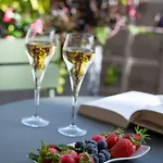酒店 加蓬酒店 4*